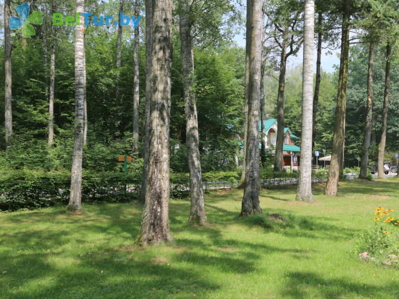 Rest in Belarus - hotel complex Zharkovschina - Territory