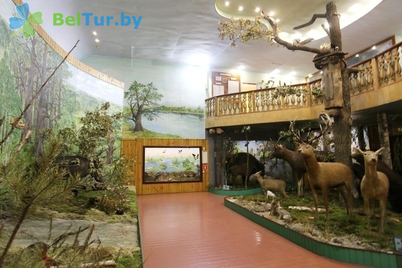 Rest in Belarus - hotel Turov plus - Museum