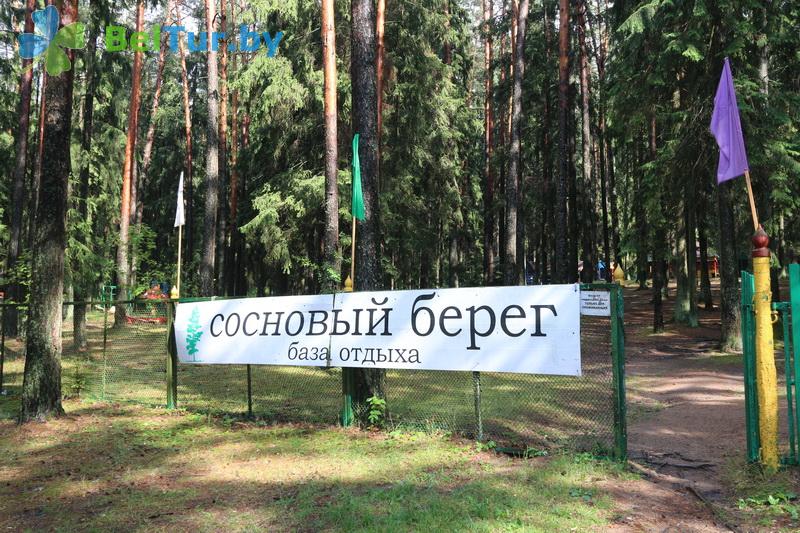 Rest in Belarus - recreation center Sosnovyj bereg - Territory