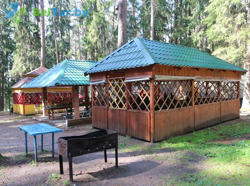 Rest in Belarus - recreation center Sosnovyj bereg - Barbeque