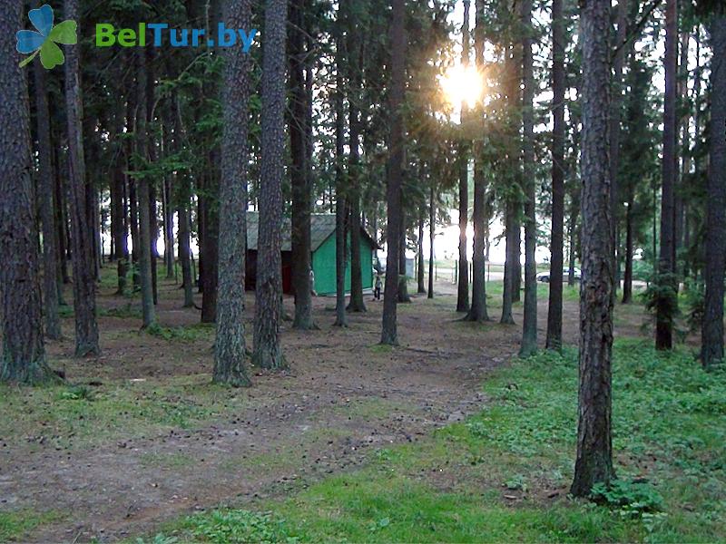 Rest in Belarus - recreation center Sosnovyj bereg - Place to put up tents