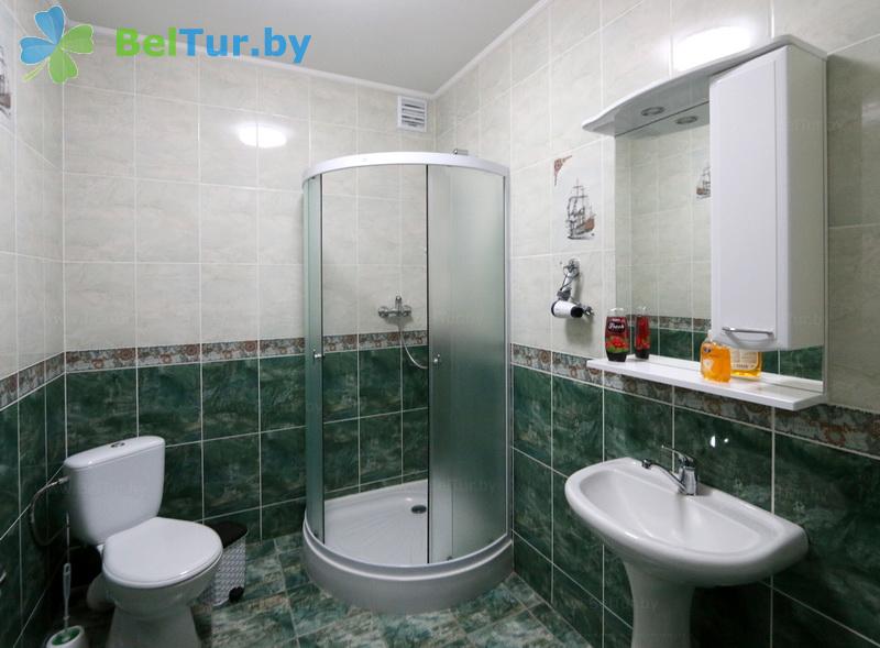 Rest in Belarus - farmstead Karolinsky folvarok Tyzengauza - 1-room double / Standard (house Rodovoe dnezdo) 