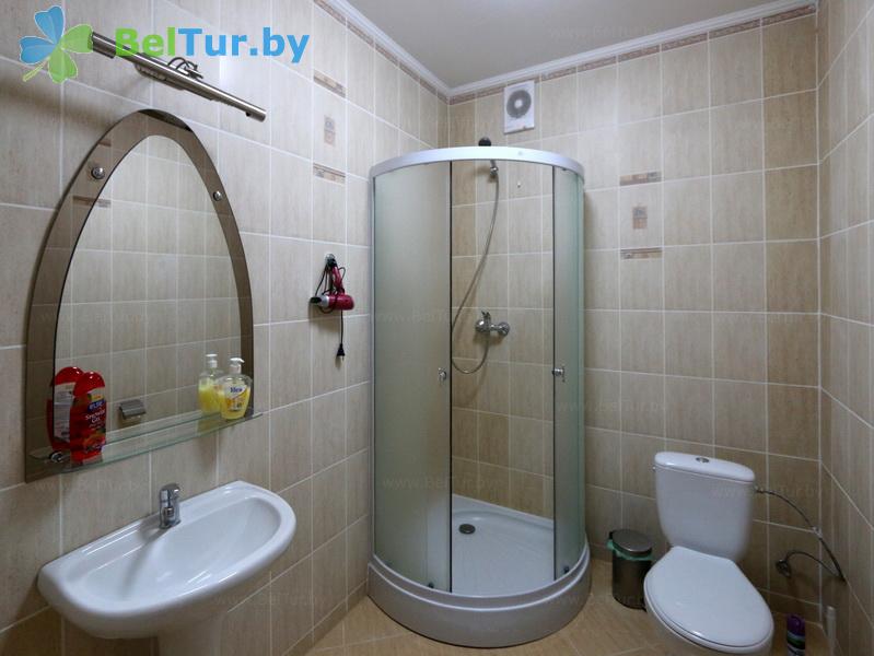 Rest in Belarus - farmstead Karolinsky folvarok Tyzengauza - 1-room double / Standard (house Rodovoe dnezdo) 