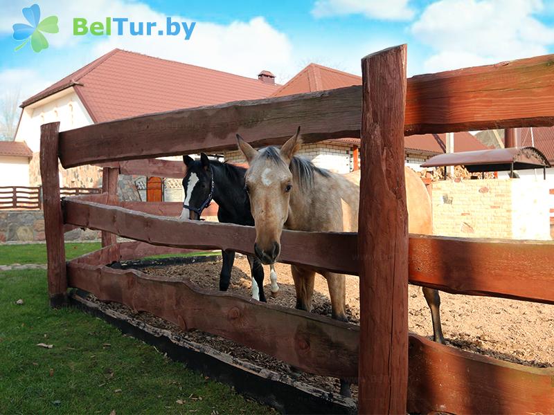 Rest in Belarus - farmstead Karolinsky folvarok Tyzengauza - Stable