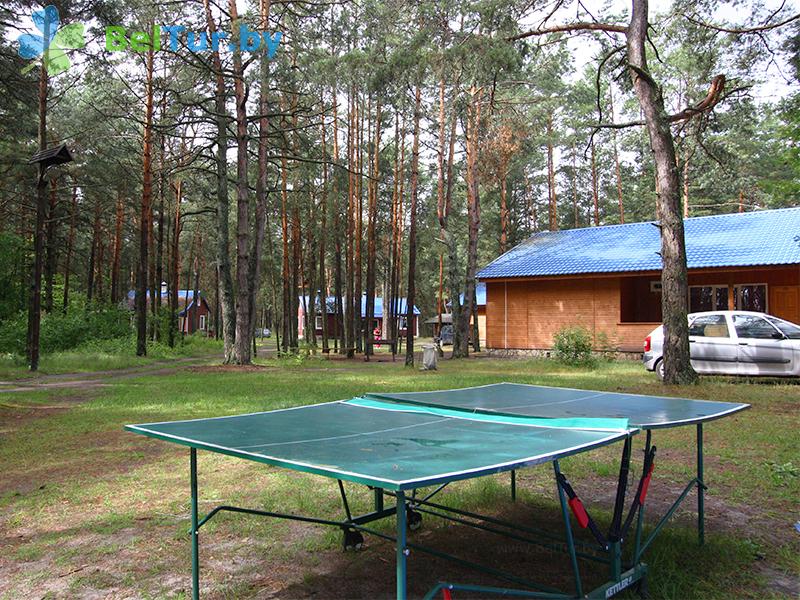 Rest in Belarus - recreation center Komarovo - Table tennis (Ping-pong)