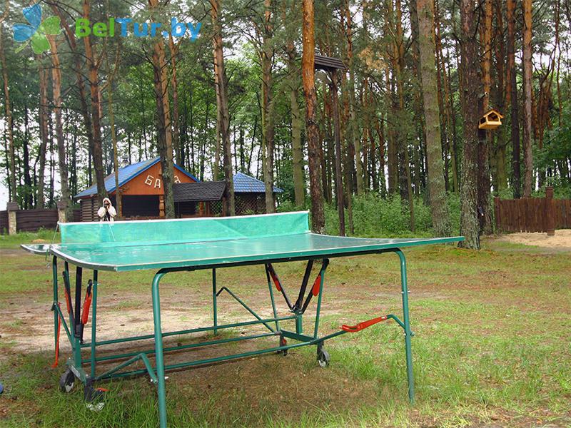 Rest in Belarus - recreation center Komarovo - Table tennis (Ping-pong)