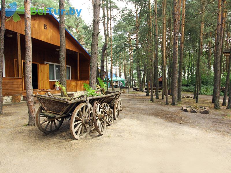 Rest in Belarus - recreation center Komarovo - Territory