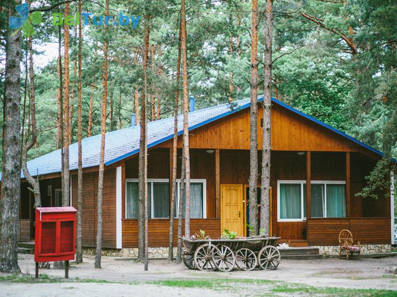 Отдых в Белоруссии Беларуси - база отдыха Комарово - Территория и природа
