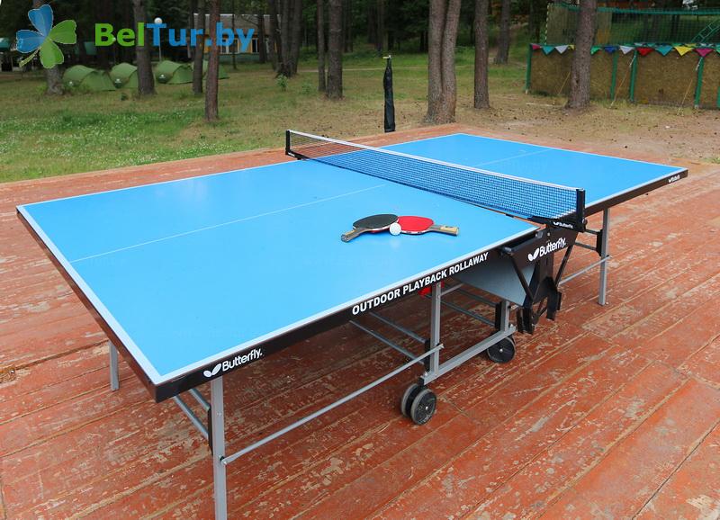 Rest in Belarus - recreation center Country club Festivalnyi - Table tennis (Ping-pong)