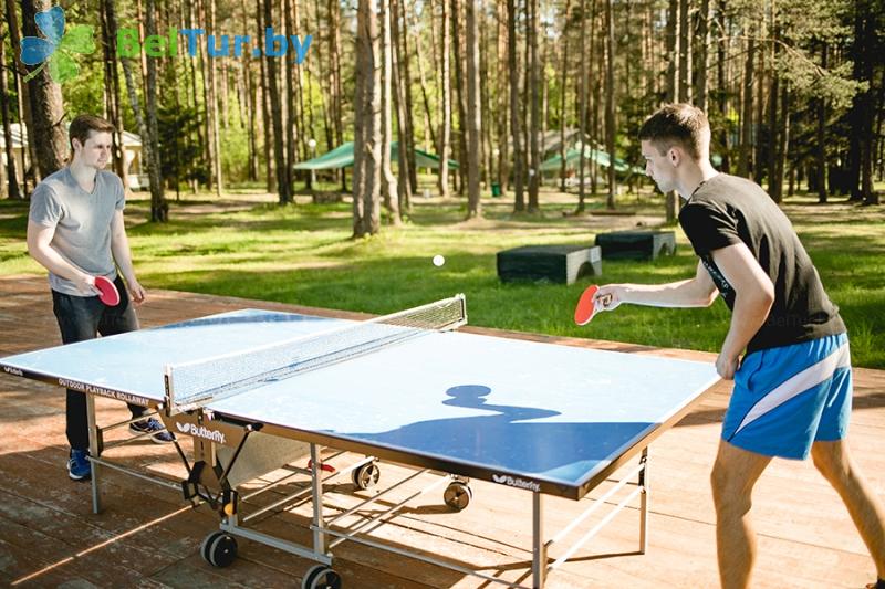 Rest in Belarus - recreation center Country club Festivalnyi - Table tennis (Ping-pong)