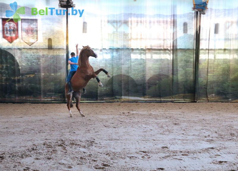 Rest in Belarus - tourist complex Nanosy - Stable