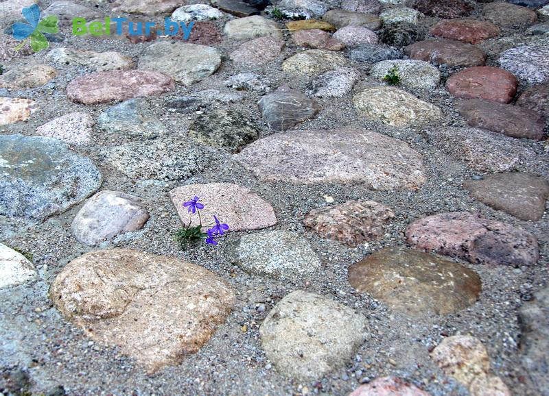 Rest in Belarus - tourist complex Nanosy - Territory