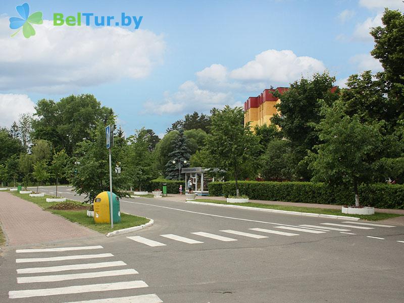 Отдых в Белоруссии Беларуси - гостиница Нарочь - Территория и природа