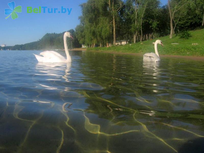 Rest in Belarus - hotel Naroch hotel - Water reservoir