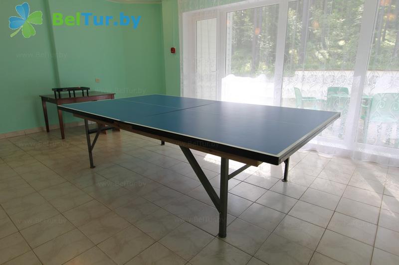 Rest in Belarus - recreation center Svyazist - Table tennis (Ping-pong)