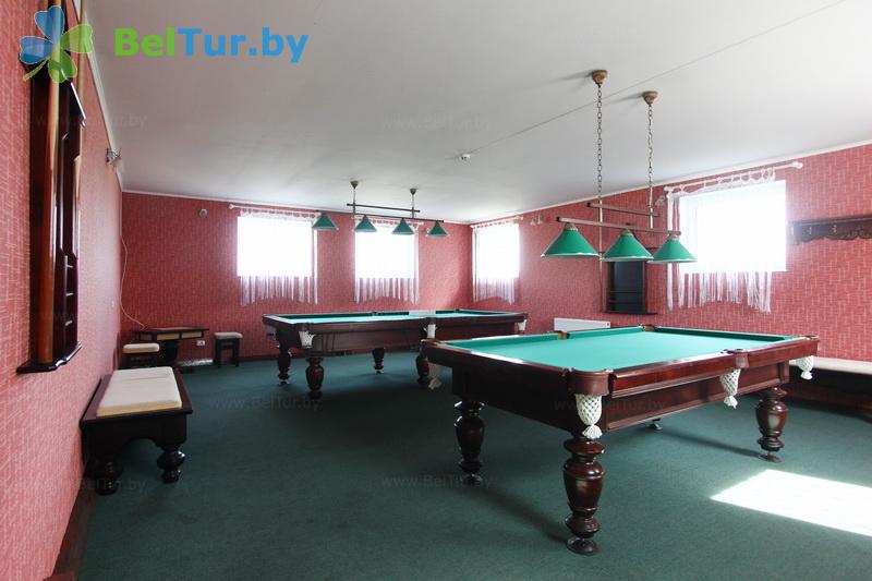 Rest in Belarus - hunter's house Kamaisk - Billiards