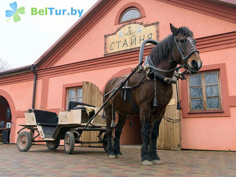 Rest in Belarus - farmstead Dukorsky maentak - Stable