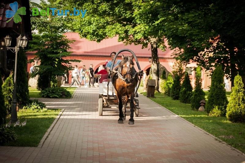 Rest in Belarus - farmstead Dukorsky maentak - Stable