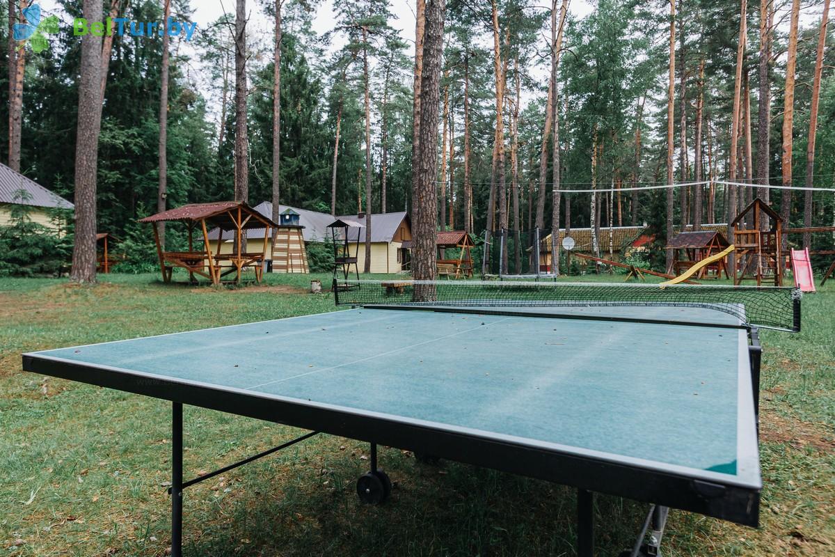 Rest in Belarus - recreation center Piknik park - Table tennis (Ping-pong)