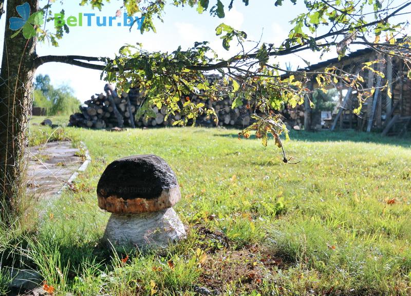 Rest in Belarus - hunter's house Nikolaevo - Territory