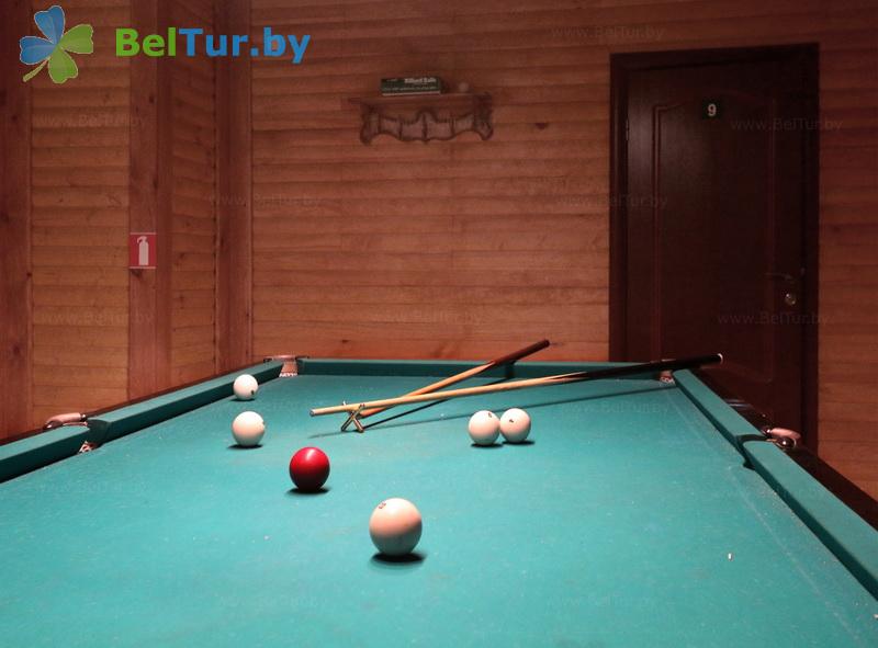 Rest in Belarus - hunter's house Nikolaevo - Billiards