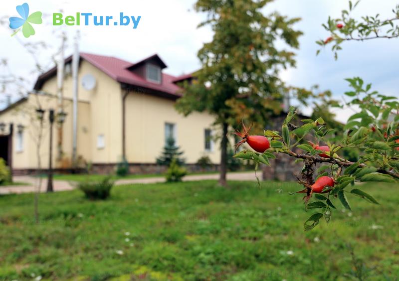 Rest in Belarus - recreation center Korolevichi - Territory