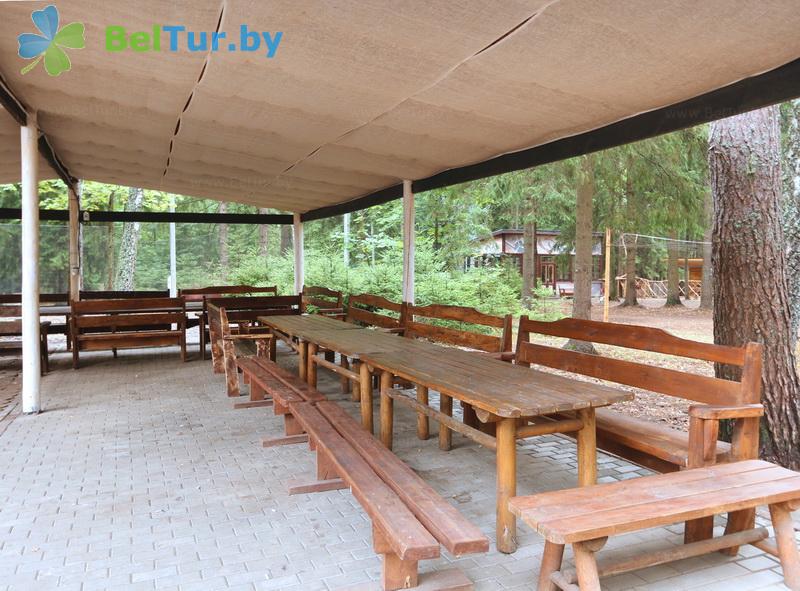 Rest in Belarus - recreation center Zhukov lug - Arbour