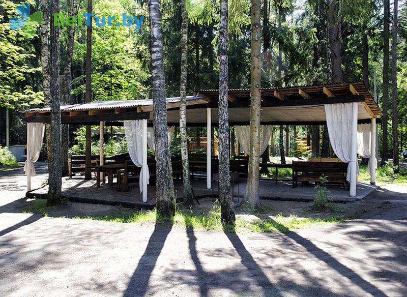 Rest in Belarus - recreation center Zhukov lug - Arbour