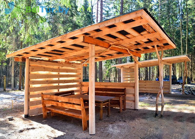 Rest in Belarus - recreation center Zhukov lug - Arbour
