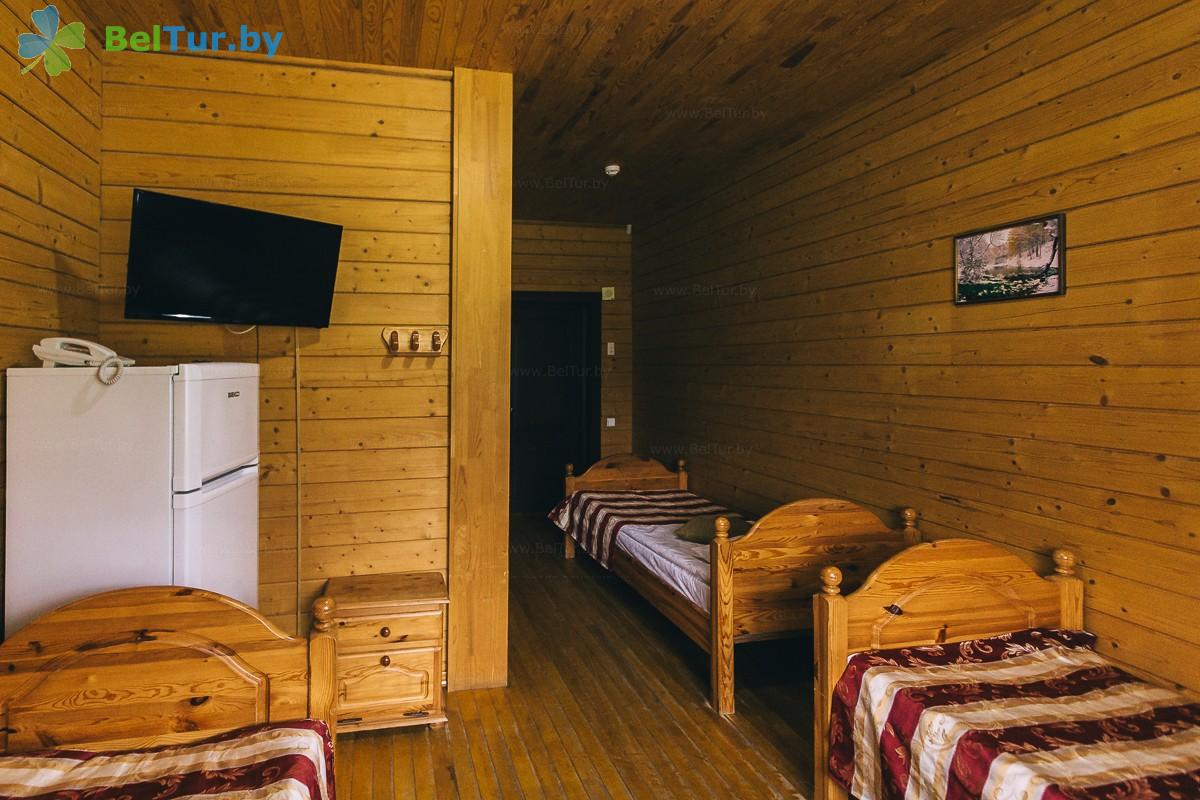 Rest in Belarus - ski sports complex Logoisk - 2-room for 4 people (houses  1, 3, 5, 6, 7, 9) 