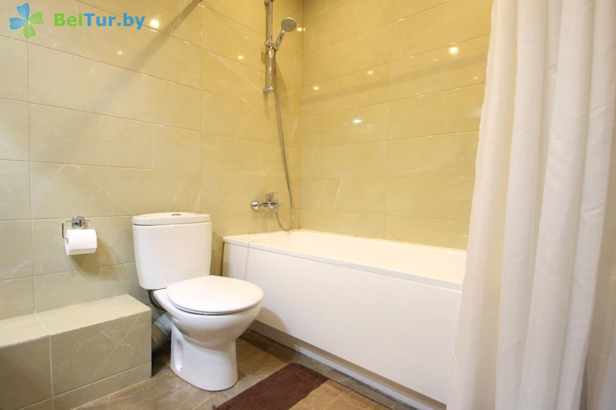 Rest in Belarus - hotel complex Braslav Lakes - 1-room double junior suite (hotel) 