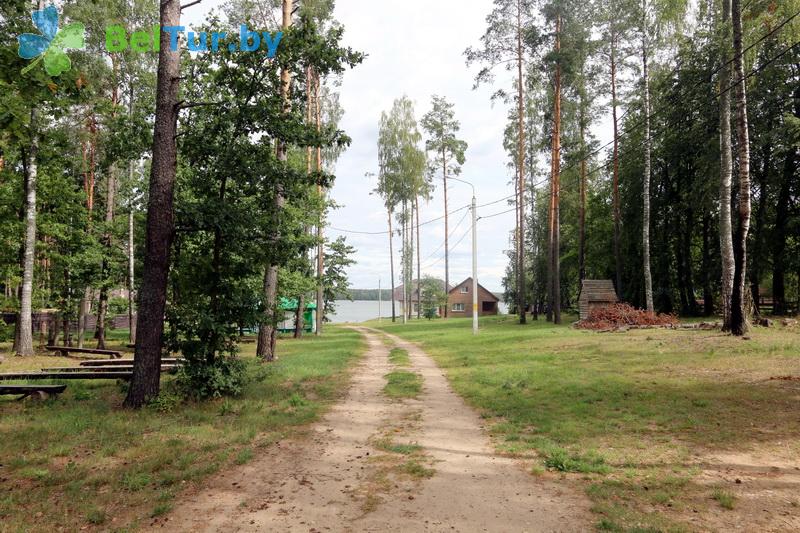 Rest in Belarus - recreation center Otdyh na poliane - Territory