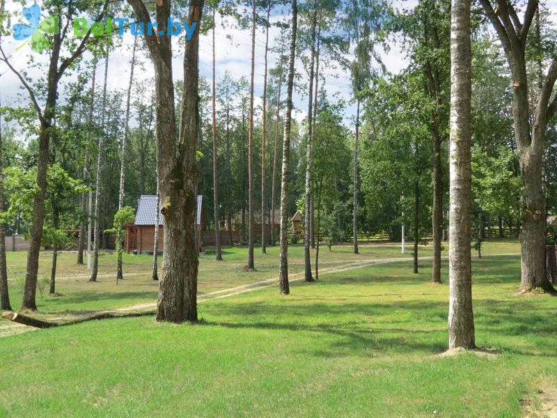 Отдых в Белоруссии Беларуси - база отдыха Отдых на поляне - Территория и природа