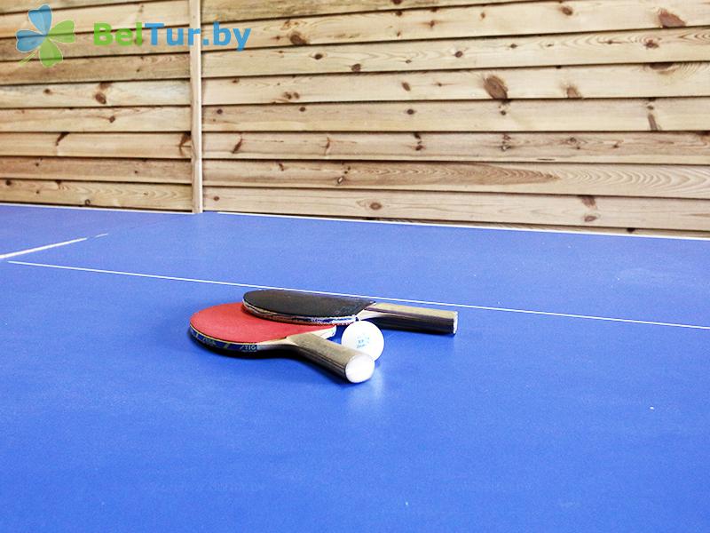 Rest in Belarus - farmstead Jerelec - Table tennis (Ping-pong)