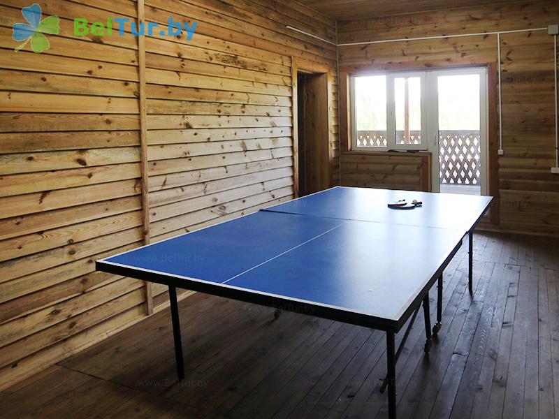 Rest in Belarus - farmstead Jerelec - Table tennis (Ping-pong)