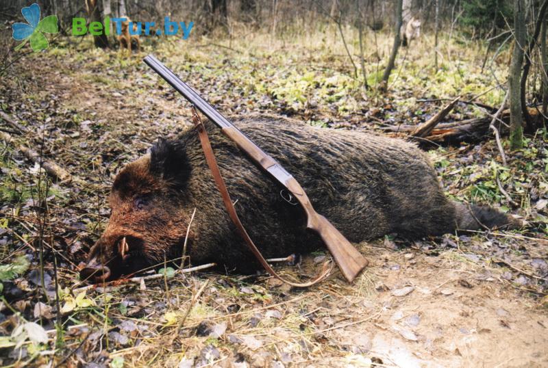 Отдых в Белоруссии Беларуси - усадьба Жерелец - Рыбалка и охота