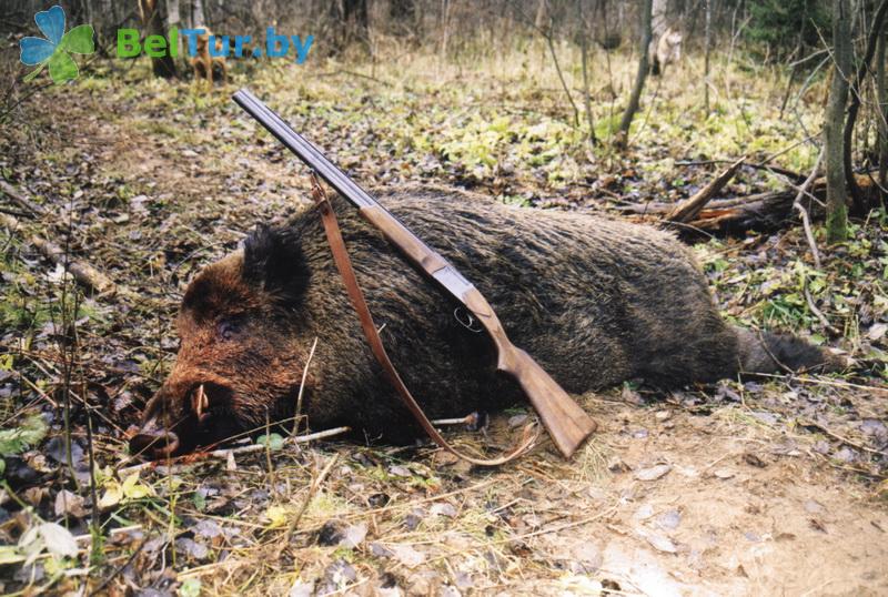 Rest in Belarus - farmstead Jerelec - Fishing and Hunting