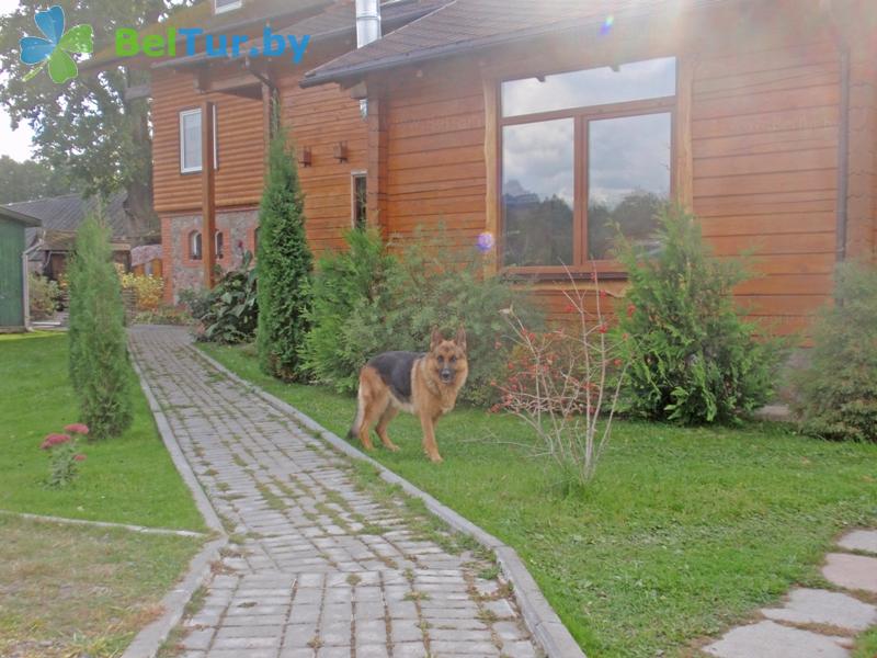 Rest in Belarus - farmstead Golubye ozera - Placement with animals