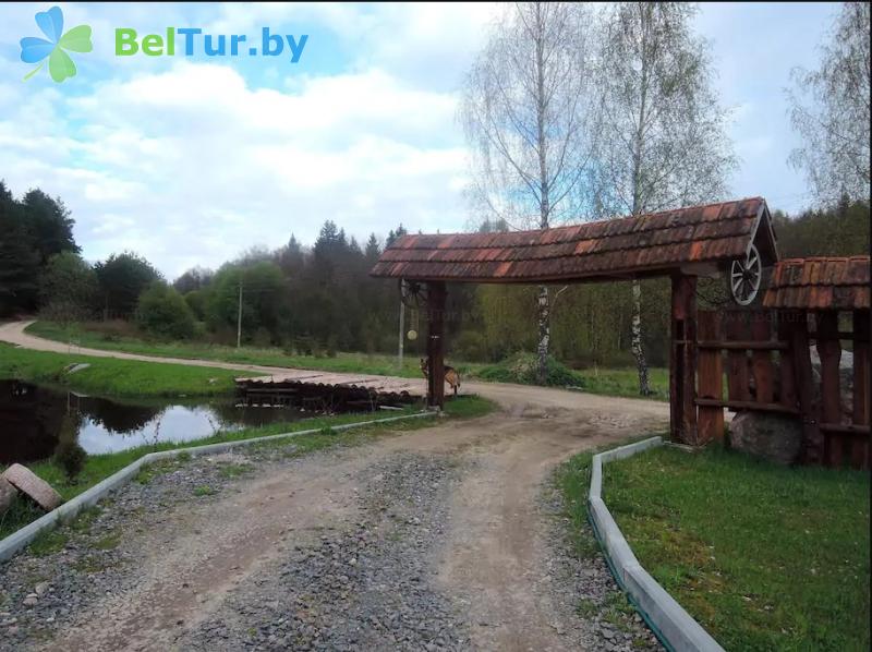 Rest in Belarus - farmstead Golubye ozera - Territory