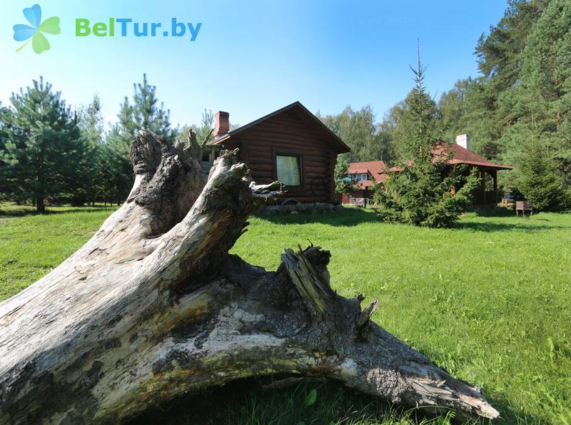 Rest in Belarus - farmstead Viking - Territory