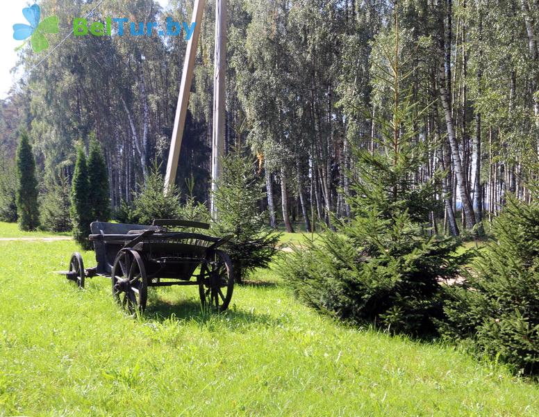 Rest in Belarus - farmstead Viking - Territory