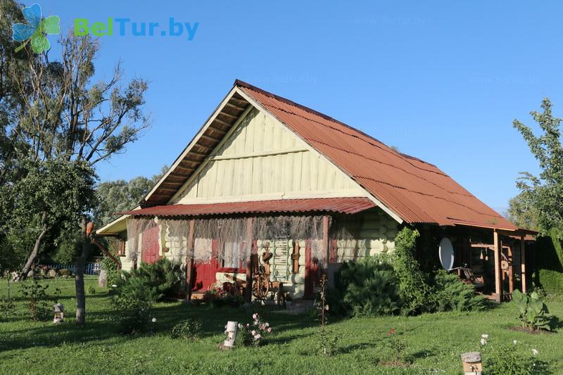 Rest in Belarus - guest house Vasilevskih - Territory
