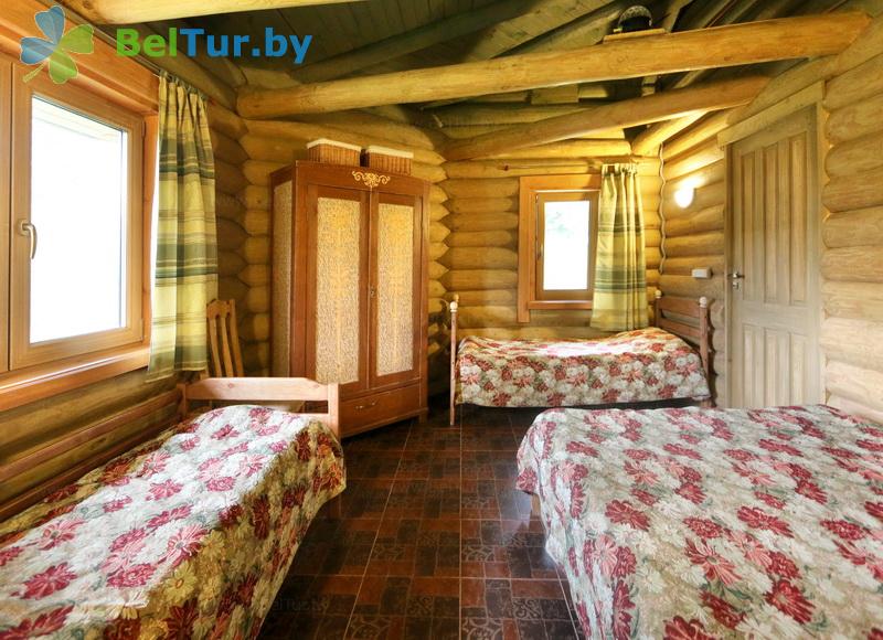 Rest in Belarus - farmstead Vileyskaya okolitsa - house for 5 people (house) 