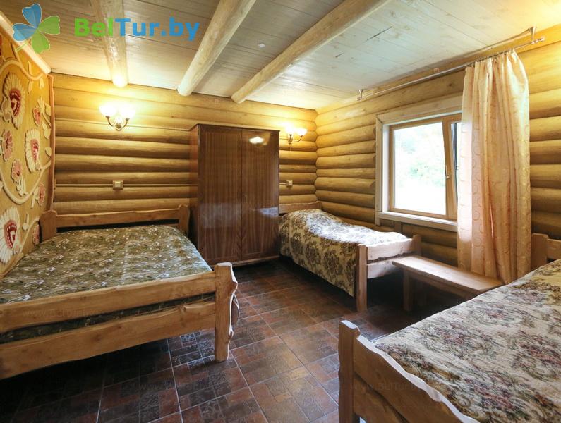 Rest in Belarus - farmstead Vileyskaya okolitsa - house for 4 people (house) 