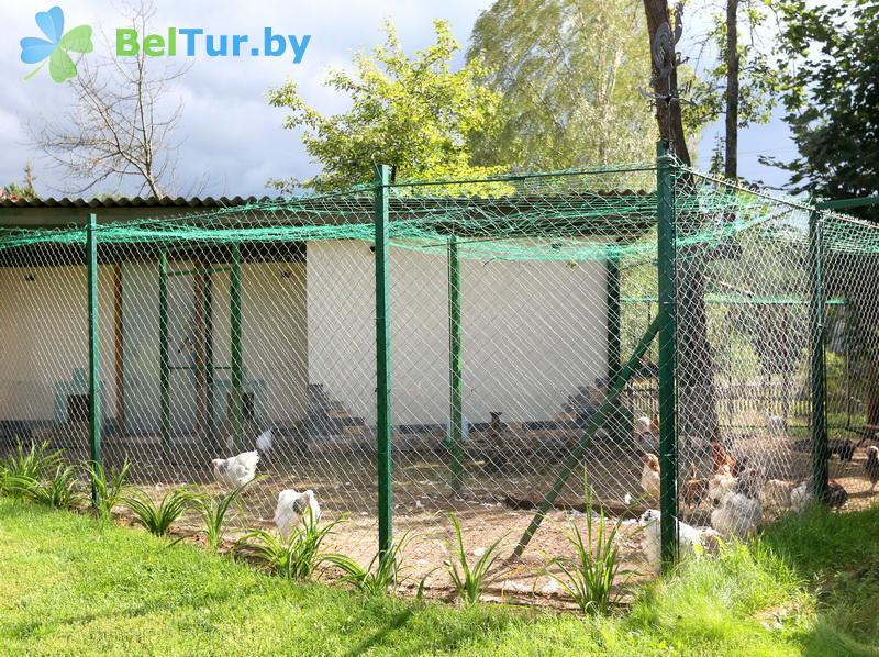 Rest in Belarus - farmstead Vileyskaya okolitsa - Aviary