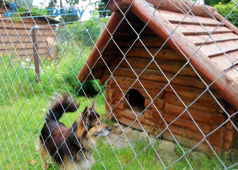 Rest in Belarus - farmstead Vileyskaya okolitsa - Aviary