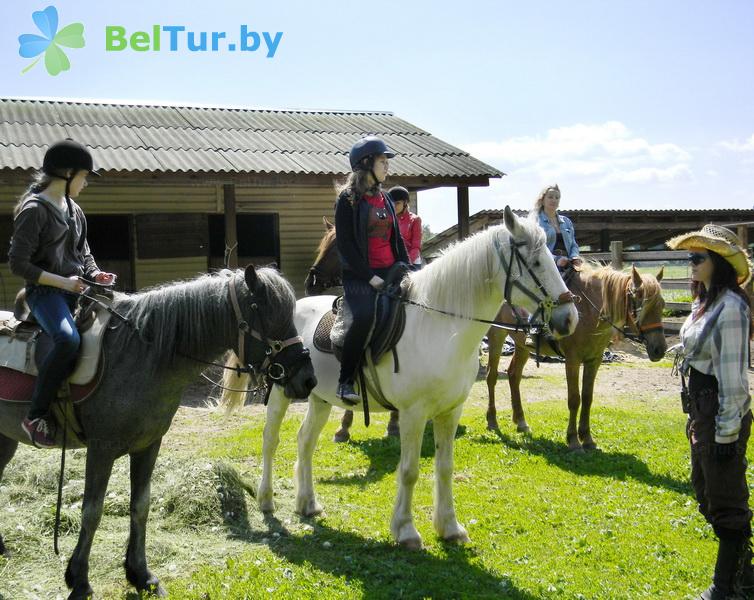 Rest in Belarus - farmstead Vileyskaya okolitsa - Infrastructure