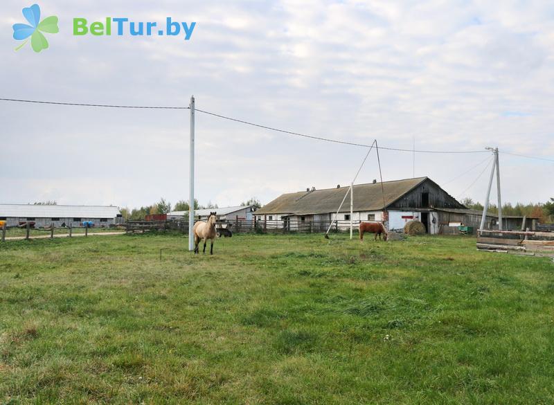 Rest in Belarus - farmstead Slutsky Straus - Territory