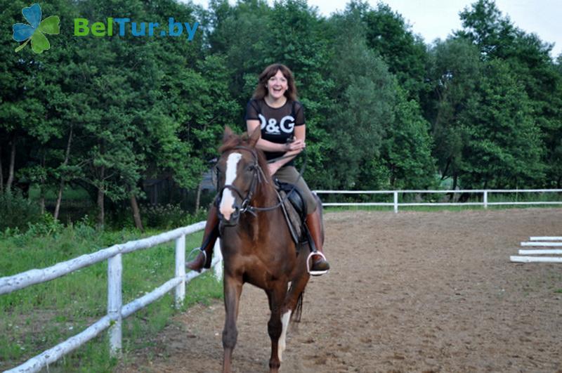 Rest in Belarus - hotel complex Pansky maentak Sula - Stable