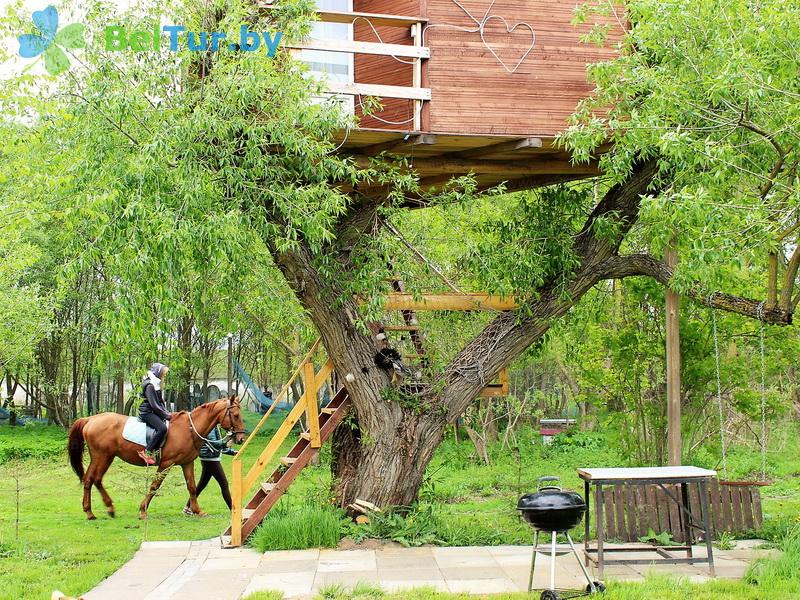 Rest in Belarus - farmstead Zarechany - Territory